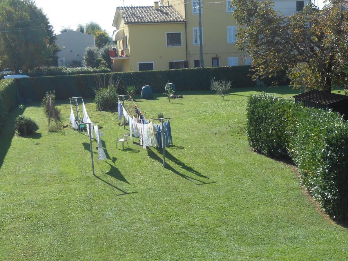 Orsi * Lucca